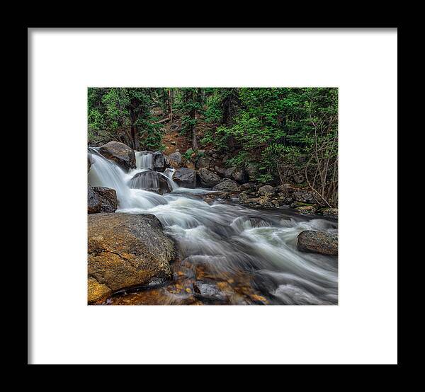 Forest Framed Print featuring the photograph The Path Of The Forest Brook by Tim Reaves