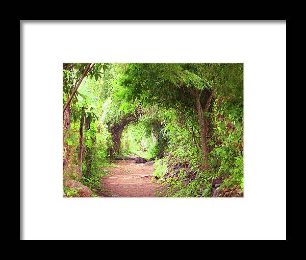 Path Framed Print featuring the photograph The Path Onward by James Knight