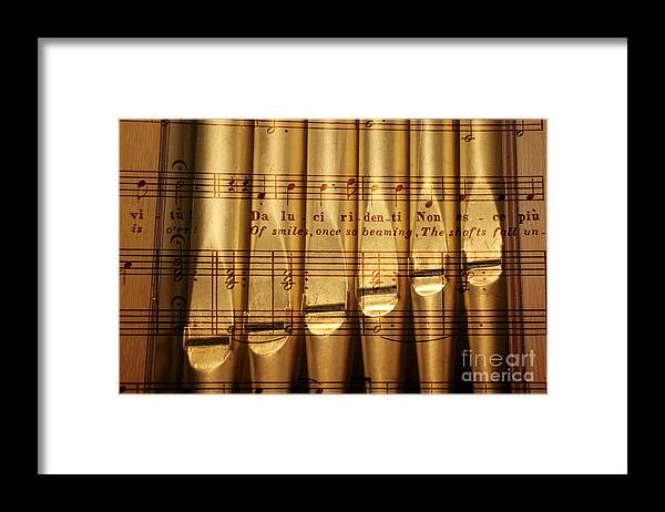 Pipes Framed Print featuring the photograph The Pipes by R Kyllo