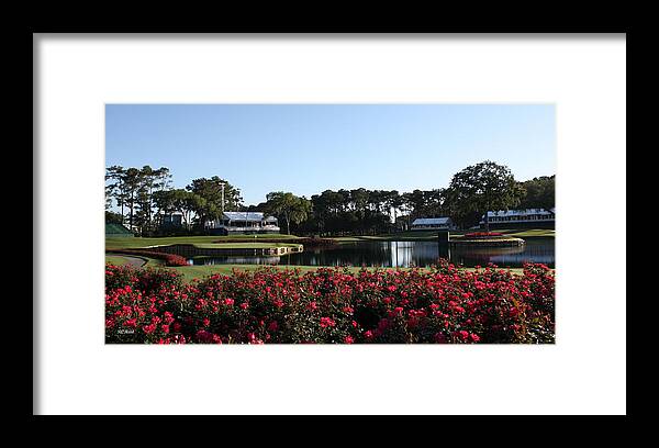 Florida Framed Print featuring the photograph The Players - TPC Sawgrass Island Green 17th by Ronald Reid