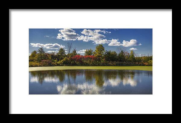 Bog Framed Print featuring the photograph The Pond in Autumn by Steve Gravano