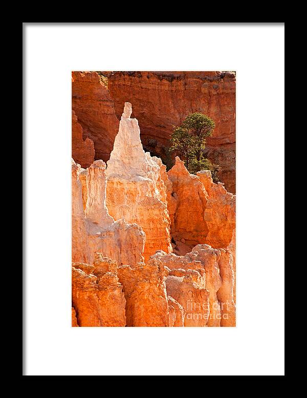 Bryce Canyon Framed Print featuring the photograph The Pope Sunrise Point Bryce Canyon National Park by Fred Stearns