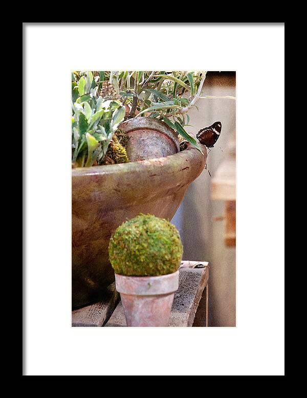 Butterfly Framed Print featuring the photograph The Potting Shed by Art Block Collections