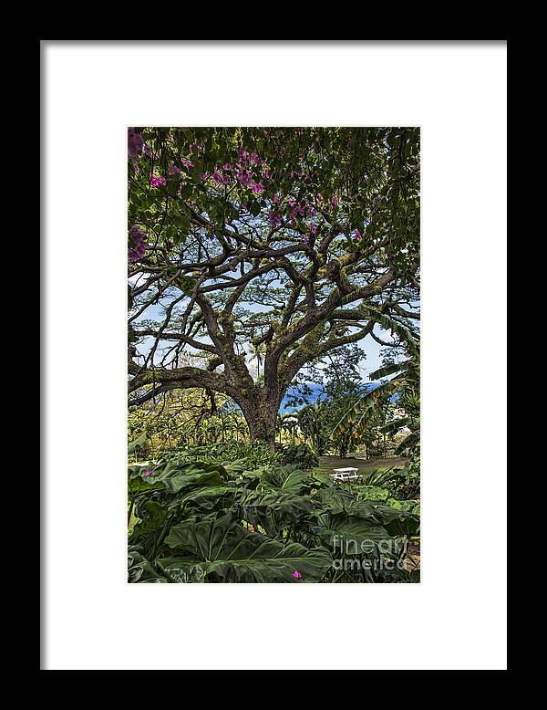 Ken Johnson Imagery Framed Print featuring the photograph The Pride of St. Kitts by Ken Johnson