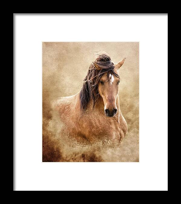 Equine Framed Print featuring the photograph The Proud by Ron McGinnis
