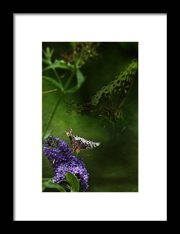 Butterfly Framed Print featuring the photograph The Psyche by Belinda Greb