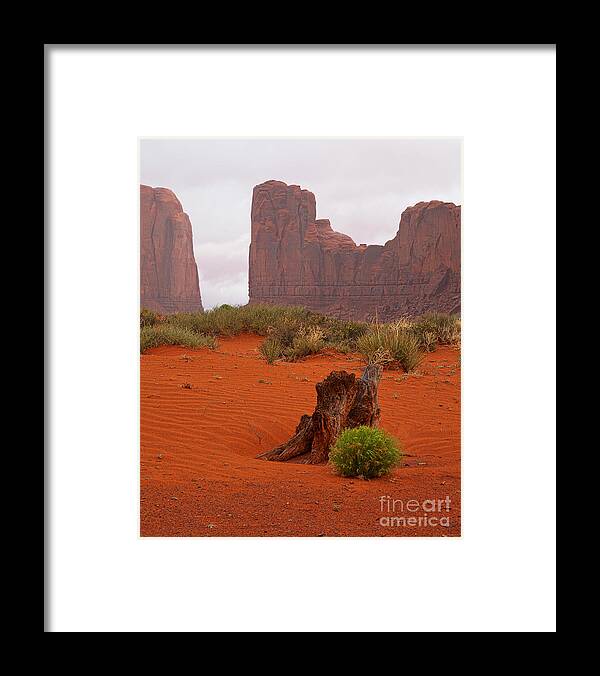 Red Soil Framed Print featuring the photograph The Red Land by Jim Garrison