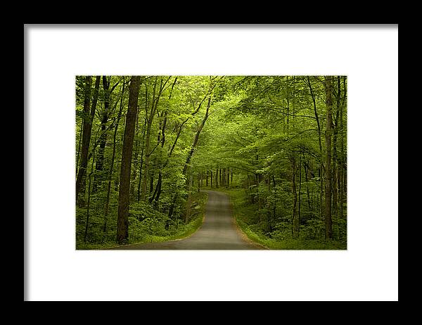 Road Framed Print featuring the photograph The Road Less Travelled by Andrew Soundarajan