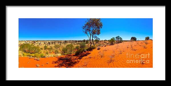 The Road To Uluru Outback Landscape Central Australia Australian Gum Tree Desert Arid Sand Dunes  Framed Print featuring the photograph The Road to Uluru by Bill Robinson