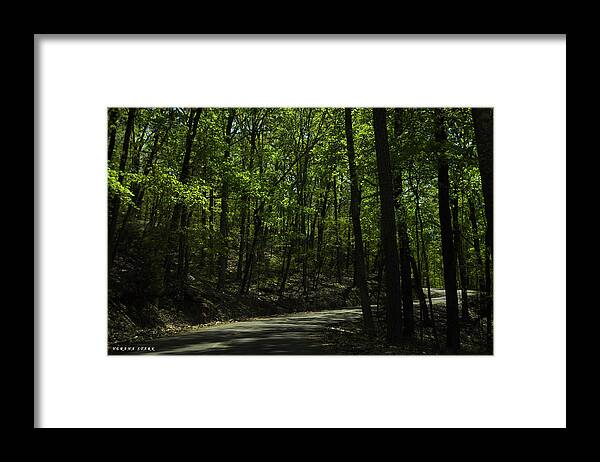 Road Framed Print featuring the photograph The Roads of Alabama by Verana Stark