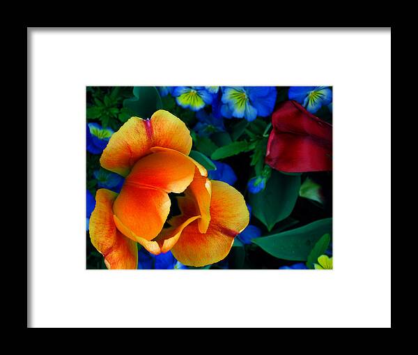 Flowers Framed Print featuring the photograph The Secret Life of Tulips by Rory Siegel