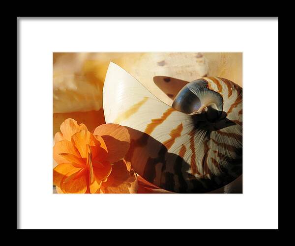 Begonia Framed Print featuring the photograph The Secret Of The Sea by Angela Davies