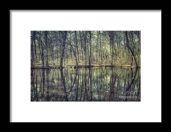 Kremsdorf Framed Print featuring the photograph The Sentient Forest by Evelina Kremsdorf