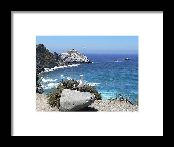 Big Sur Framed Print featuring the photograph The Sentry by Steve Ondrus