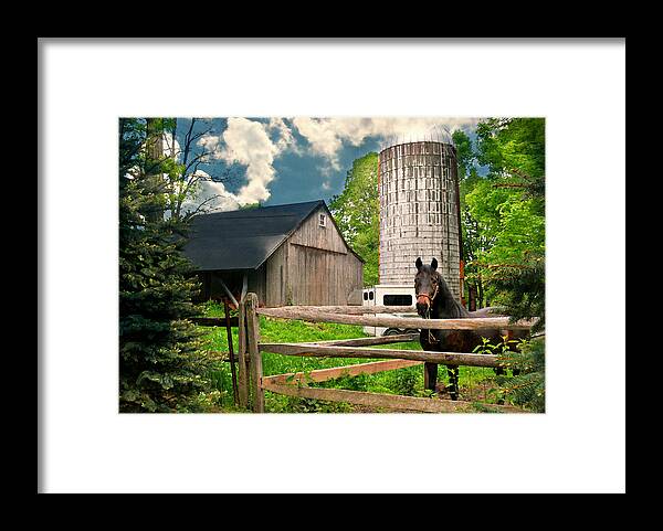 Silo Framed Print featuring the photograph The Silo Horse by Diana Angstadt