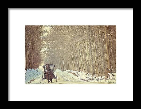 Snow Framed Print featuring the photograph The Simple Life by Carrie Ann Grippo-Pike