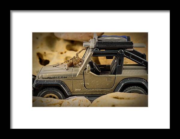 Spider Framed Print featuring the photograph The Spider Series II by Marco Oliveira