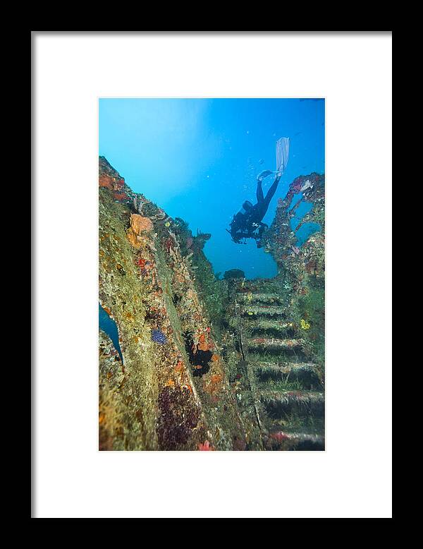 Tony Framed Print featuring the photograph The Staris Up by Sandra Edwards