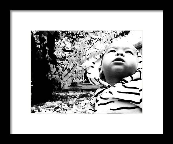 Baby's Framed Print featuring the photograph The stoic zebra by Jessica S