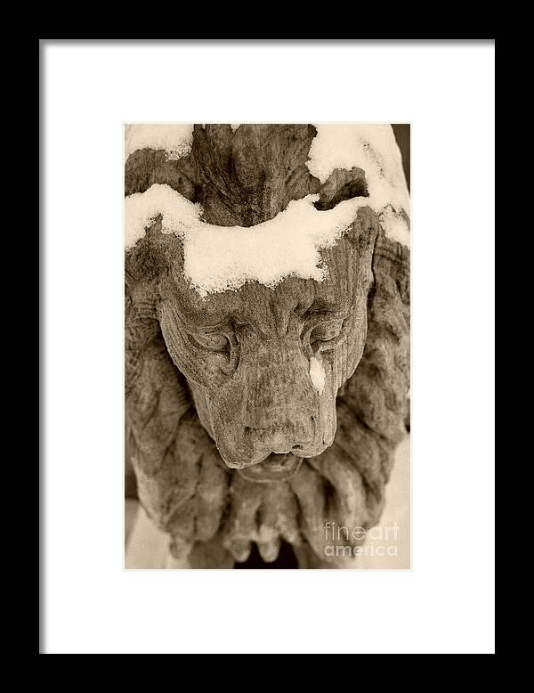 Stone Lion Framed Print featuring the photograph The Stone Lions Frozen Tear by John Harmon