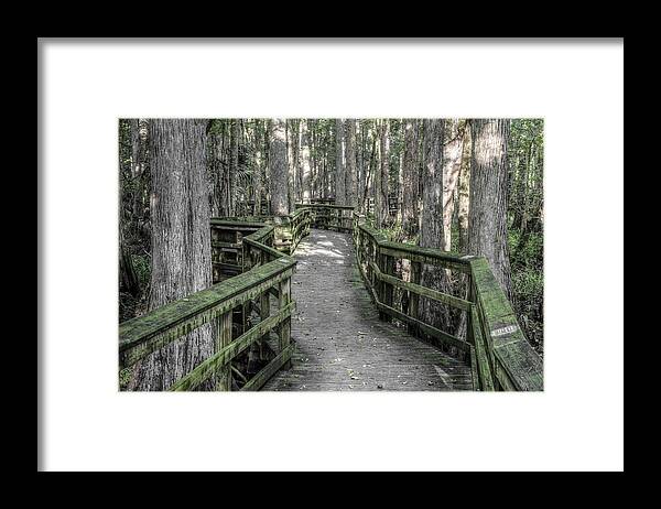 Florida Framed Print featuring the photograph The Straight and Narrow by Debra and Dave Vanderlaan