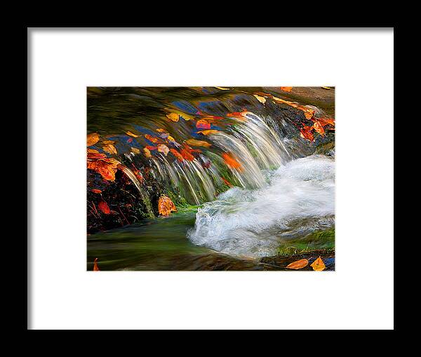 Fall Stream Framed Print featuring the photograph The Stream by Michael Eingle