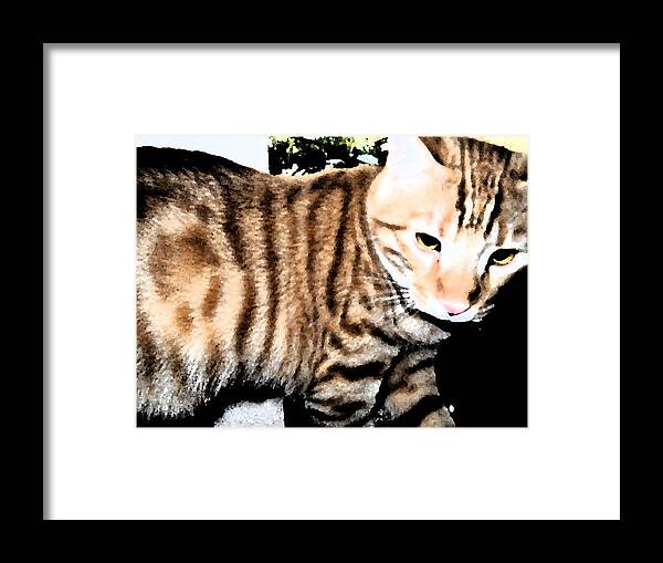 Cat Framed Print featuring the digital art The Striped One by Eric Forster