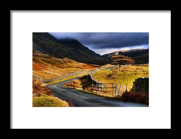 Autumn Framed Print featuring the photograph The Struggle by Neil Alexander Photography