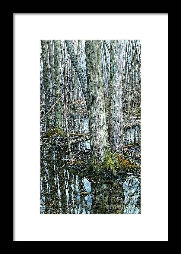 Swamp Framed Print featuring the painting The Swamp 3 by Robert Hinves