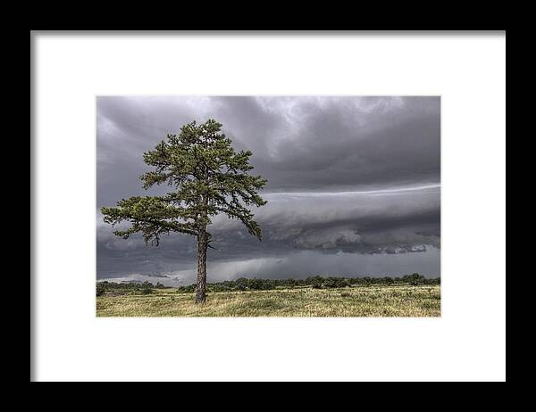 Thunderstorm Framed Print featuring the photograph The Thunder Rolls - Storm - Pine Tree by Jason Politte