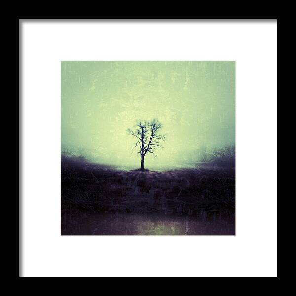 Tree Framed Print featuring the photograph The Tree by Jeff Klingler