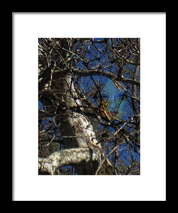 Photograph Framed Print featuring the photograph The Trees have Eyes by Malinda Kopec