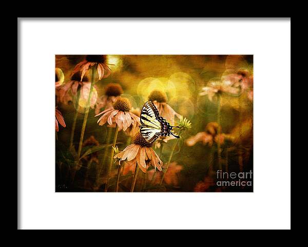 Floral Framed Print featuring the photograph The Very Young At Heart by Lois Bryan