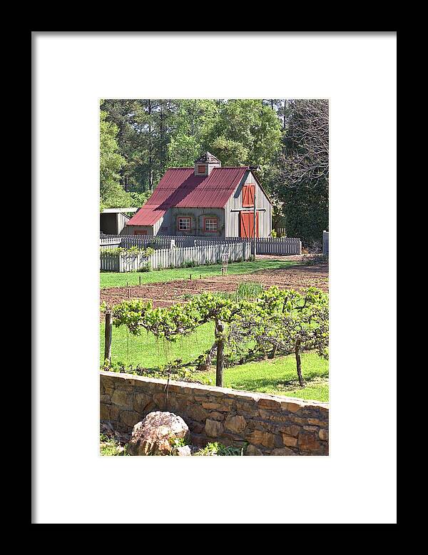 8316 Framed Print featuring the photograph The Vineyard Barn by Gordon Elwell