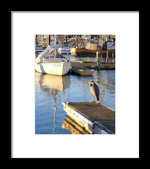 Blue Framed Print featuring the photograph The Watcher by HW Kateley