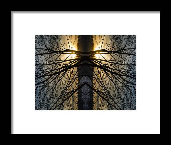Abstract Framed Print featuring the photograph The Watchers by Jennifer Kano