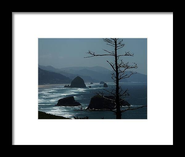 Pine Framed Print featuring the photograph The Watchman by Helen Carson