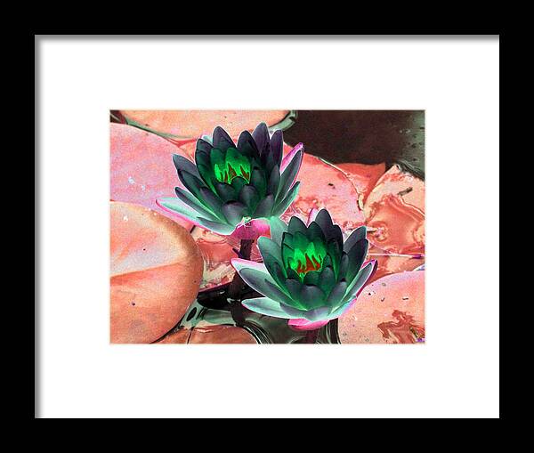 Water Lilies Framed Print featuring the photograph The Water Lilies Collection - PhotoPower 1120 by Pamela Critchlow