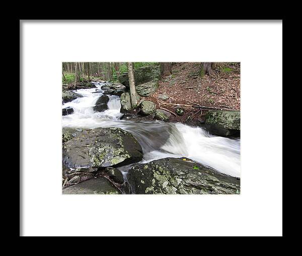 Bushkill Framed Print featuring the photograph The Watering Place by Richard Reeve