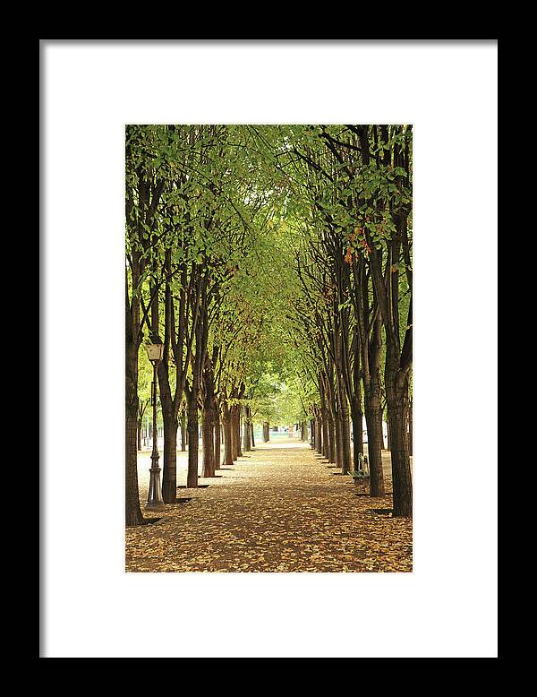 Outdoors Framed Print featuring the photograph The Way Forward, Treelined by Hiroshi Higuchi