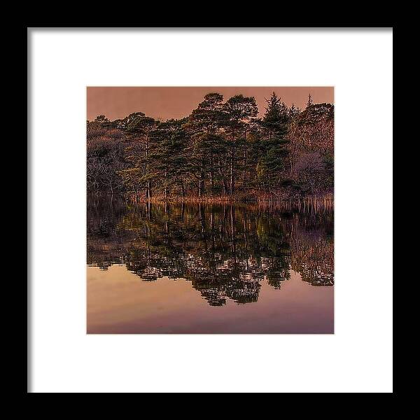  Framed Print featuring the photograph the Way We Experience The World by Robert Ziegenfuss