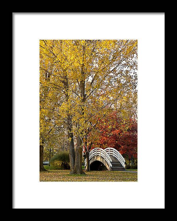 Bridge Framed Print featuring the photograph The White Bridge by Celso Bressan