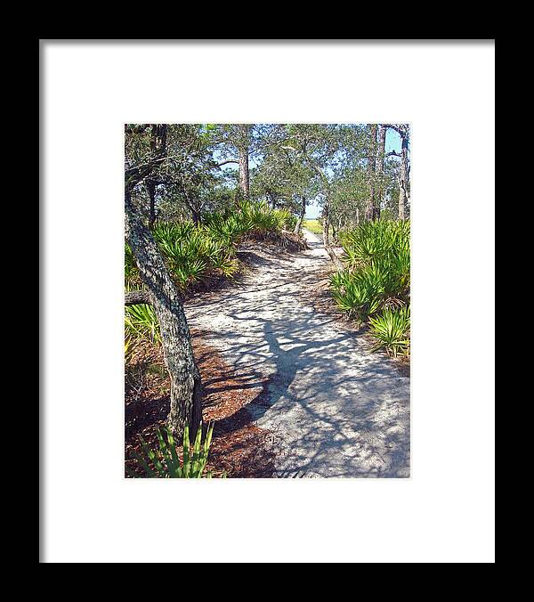 Winding Framed Print featuring the photograph The Winding Path by Ellen Tully