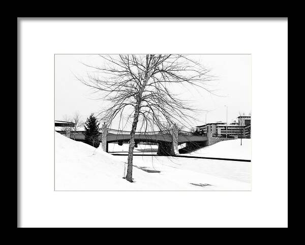 Winter Framed Print featuring the photograph The Winter Guardian by Ellen Tully