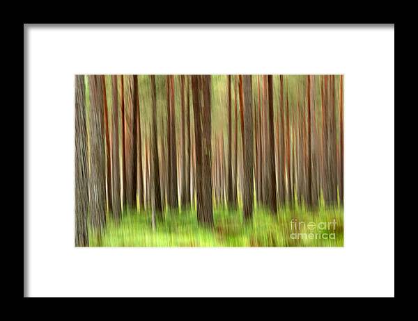Woods Framed Print featuring the photograph The Woods in Autumn by Louise Heusinkveld