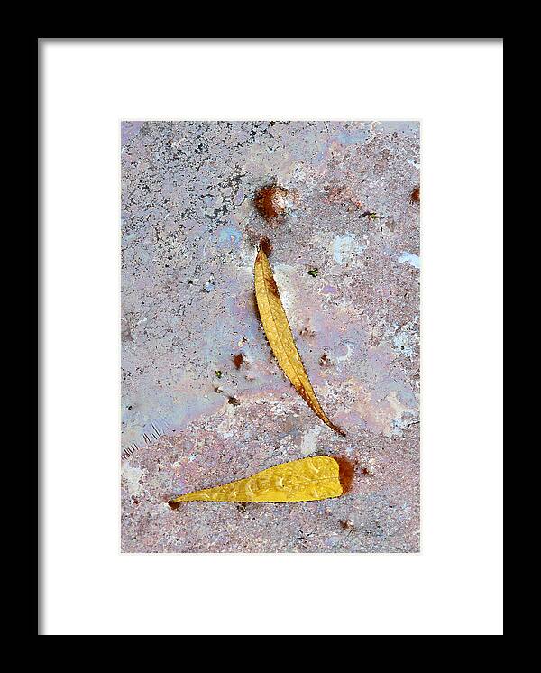 Leaf Framed Print featuring the photograph The World As We Don't Know It by Juergen Roth
