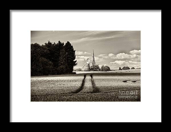 Thaxted Framed Print featuring the photograph The Yellowing Corn Thaxted by Jack Torcello