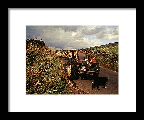 Yorkshire Framed Print featuring the photograph The Yorkshire Shepherd by John Topman