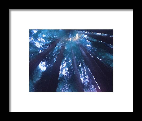 Redwoods Framed Print featuring the photograph Their tops poke right up through the sky by Suzy Norris