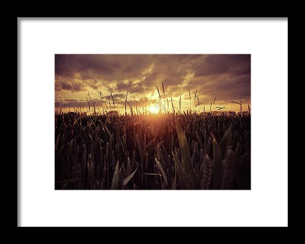 Tranquility Framed Print featuring the photograph There Goes Another Day by Photograph By Nick Lee